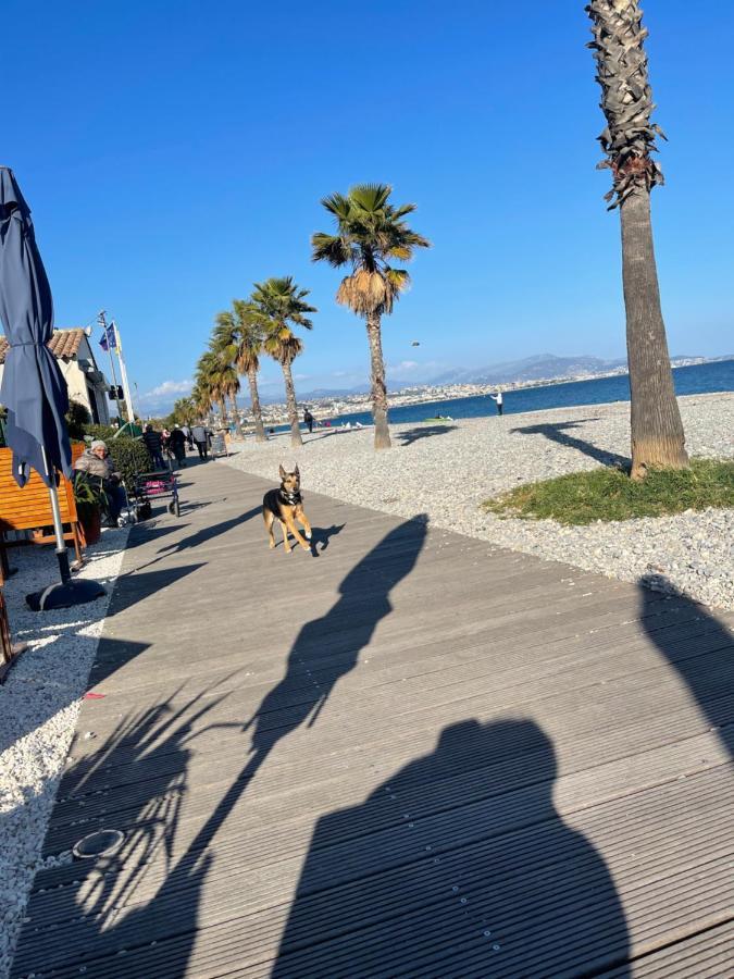 Villeneuve Loubet Plage- Entre Nice Et Cannes Ngoại thất bức ảnh