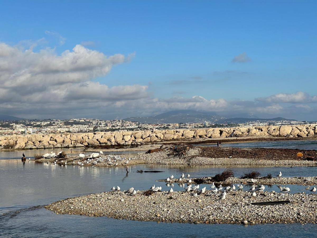 Villeneuve Loubet Plage- Entre Nice Et Cannes Ngoại thất bức ảnh
