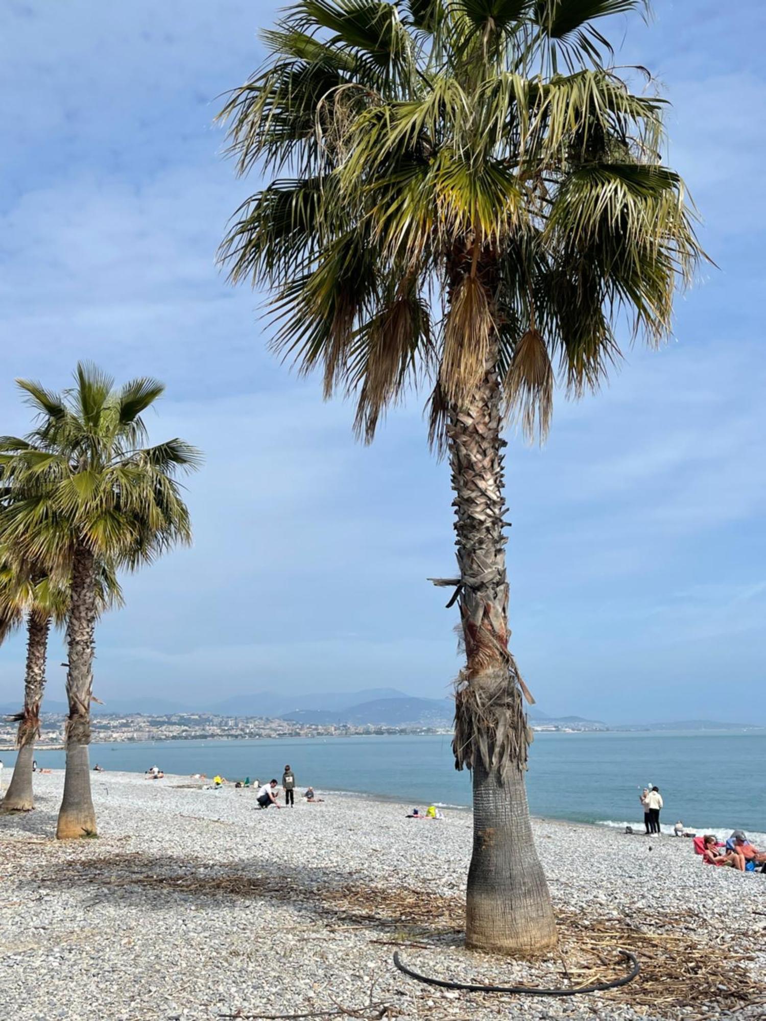 Villeneuve Loubet Plage- Entre Nice Et Cannes Ngoại thất bức ảnh