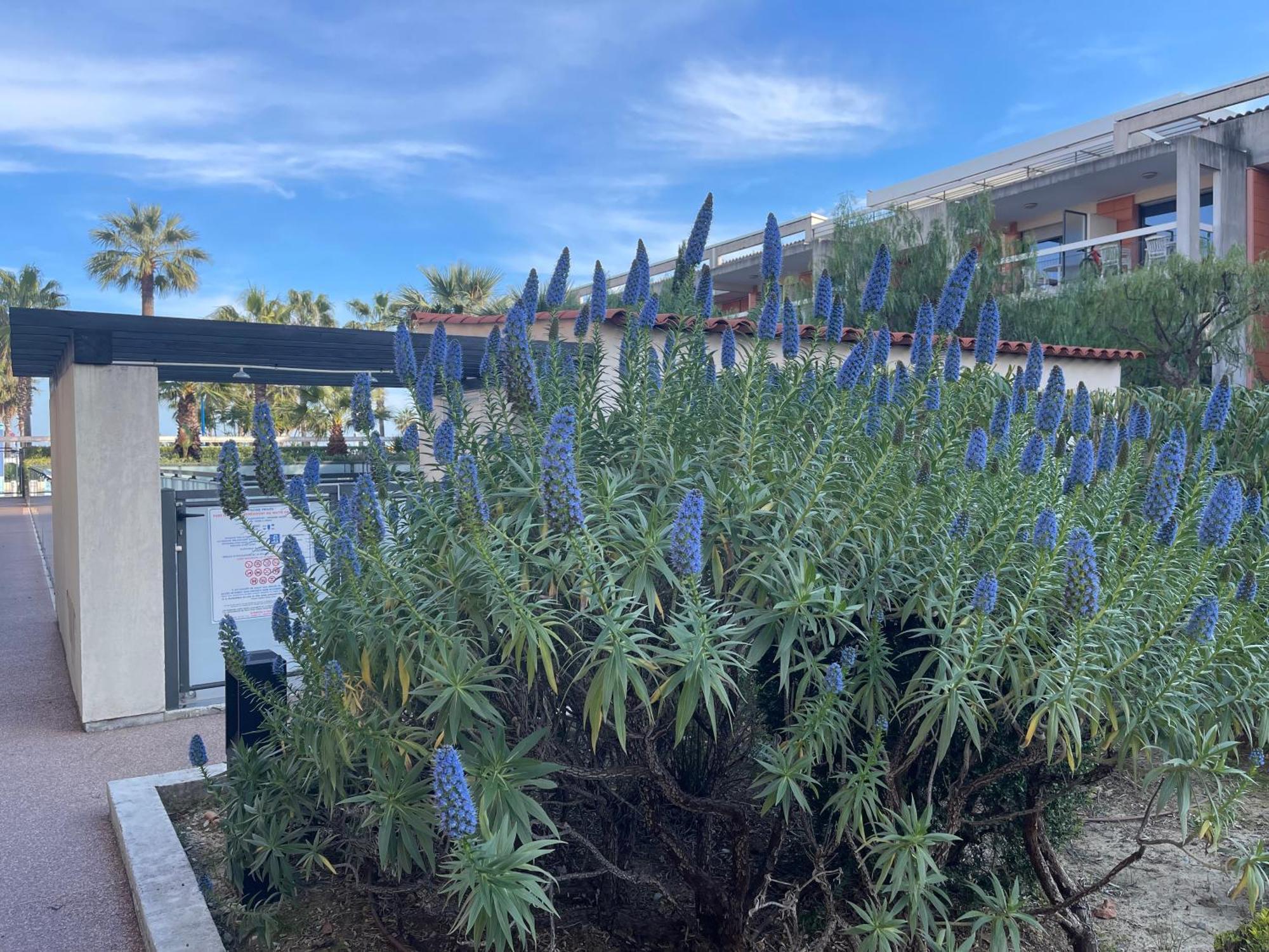 Villeneuve Loubet Plage- Entre Nice Et Cannes Ngoại thất bức ảnh