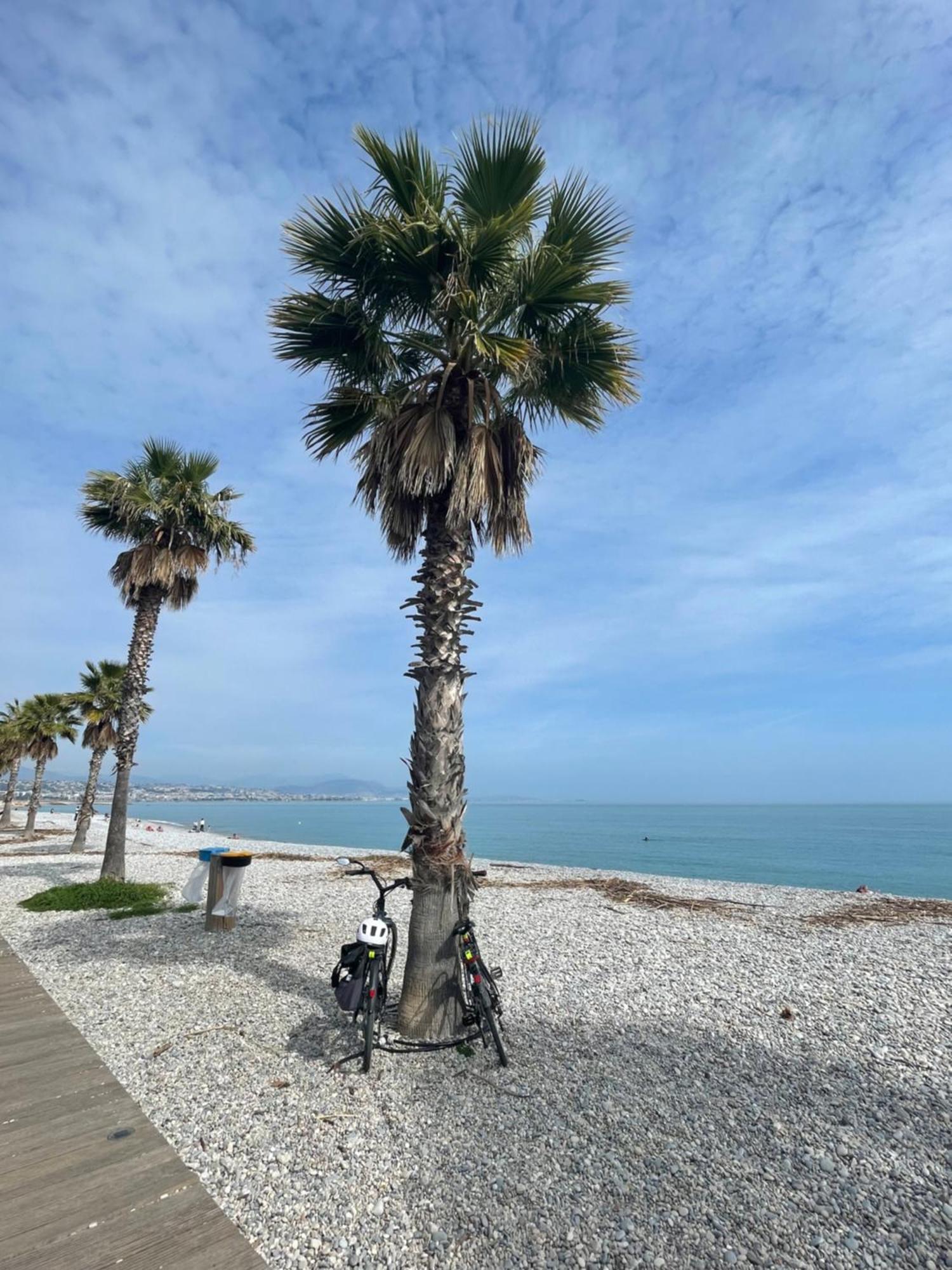 Villeneuve Loubet Plage- Entre Nice Et Cannes Ngoại thất bức ảnh