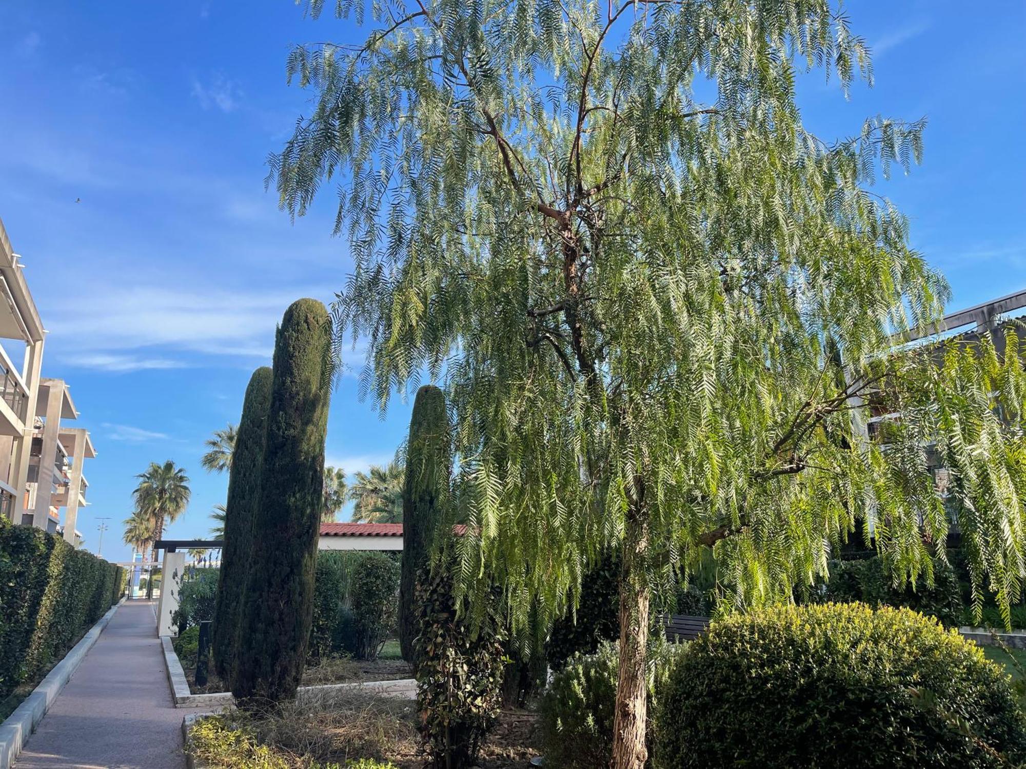 Villeneuve Loubet Plage- Entre Nice Et Cannes Ngoại thất bức ảnh
