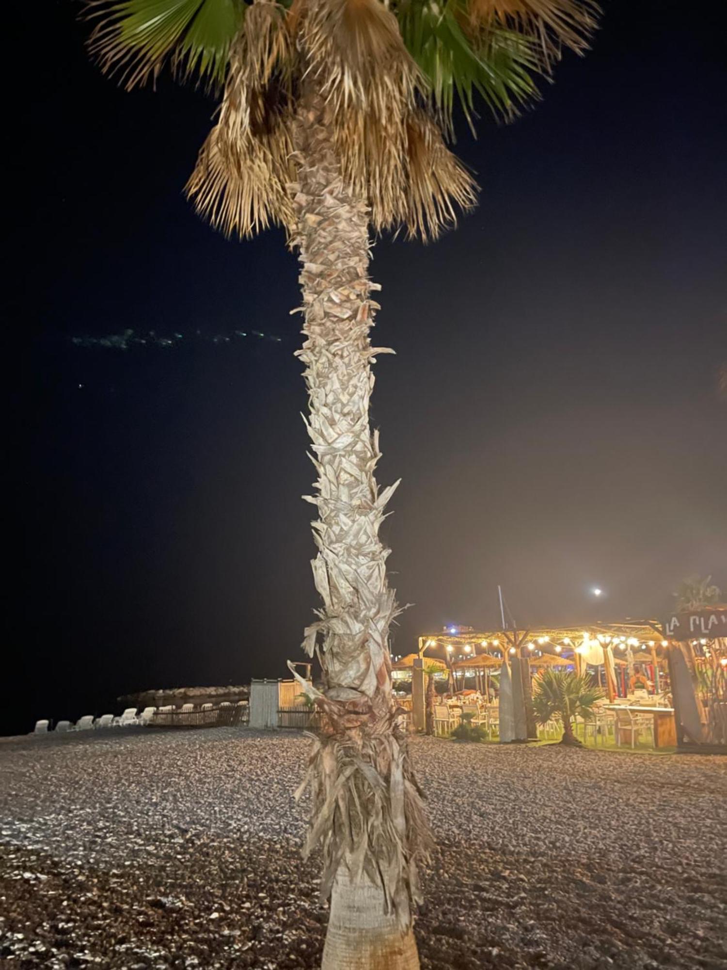 Villeneuve Loubet Plage- Entre Nice Et Cannes Ngoại thất bức ảnh