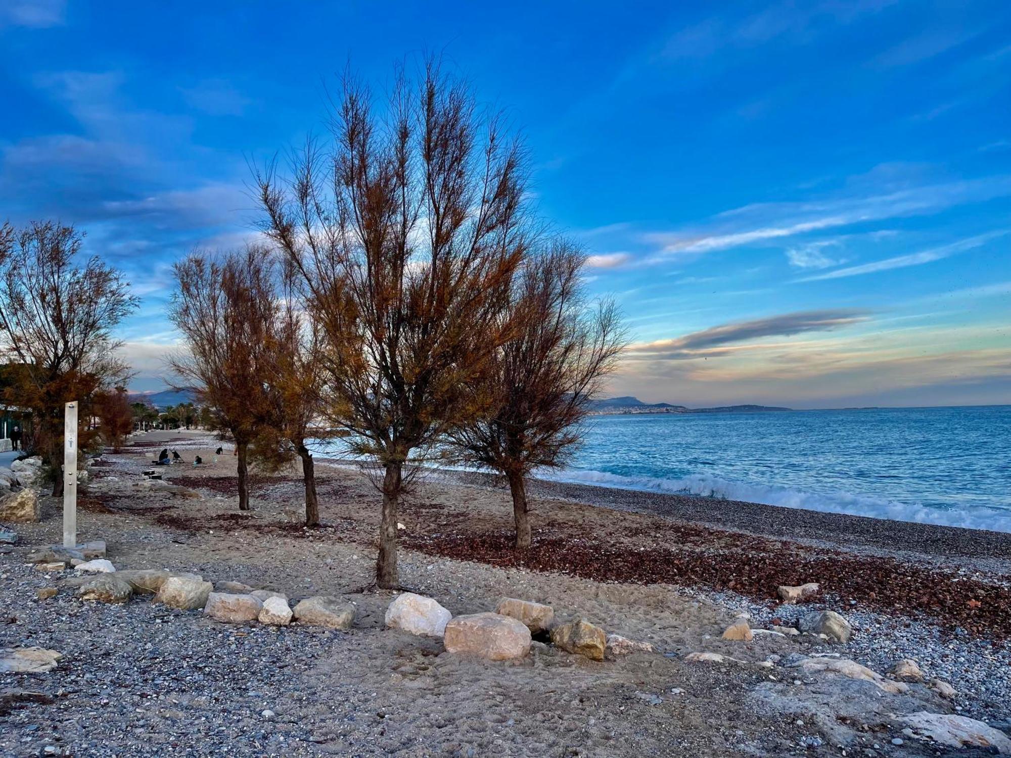 Villeneuve Loubet Plage- Entre Nice Et Cannes Ngoại thất bức ảnh